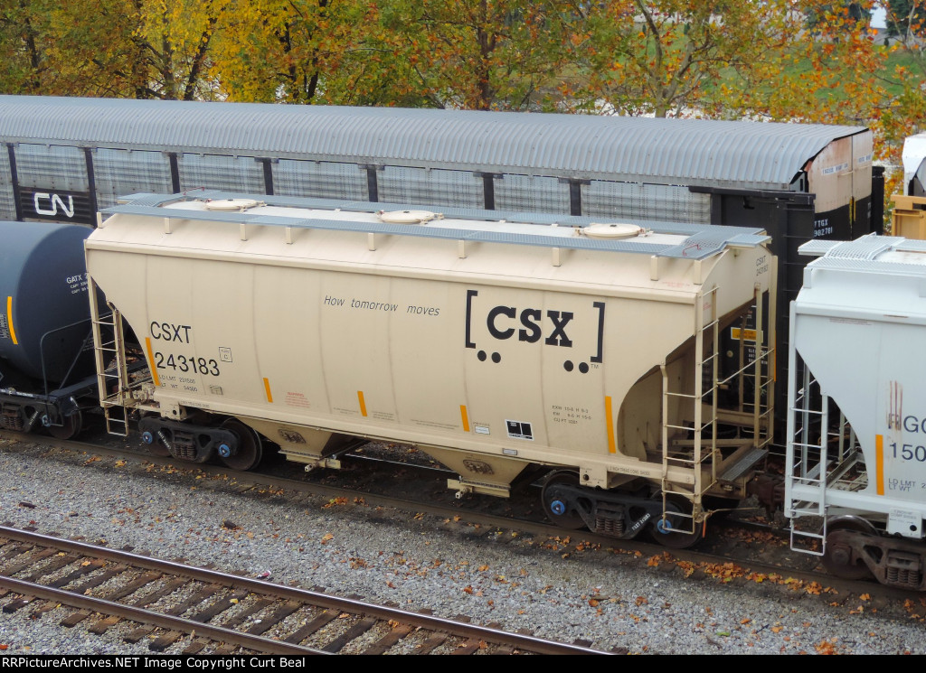 CSX 243183